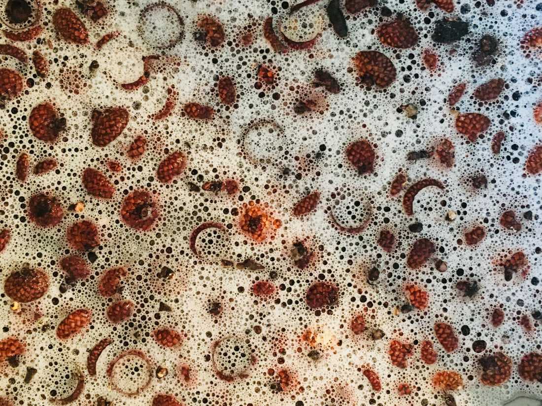 5 Simple Steps to Drying Acorn Caps