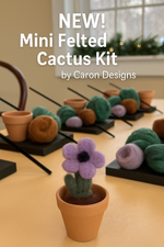 Mini Felted Cactus Plant Craft Kit – DIY Wool Succulent with Flower in Pot