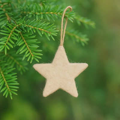 Felted Star Garland Craft Kit