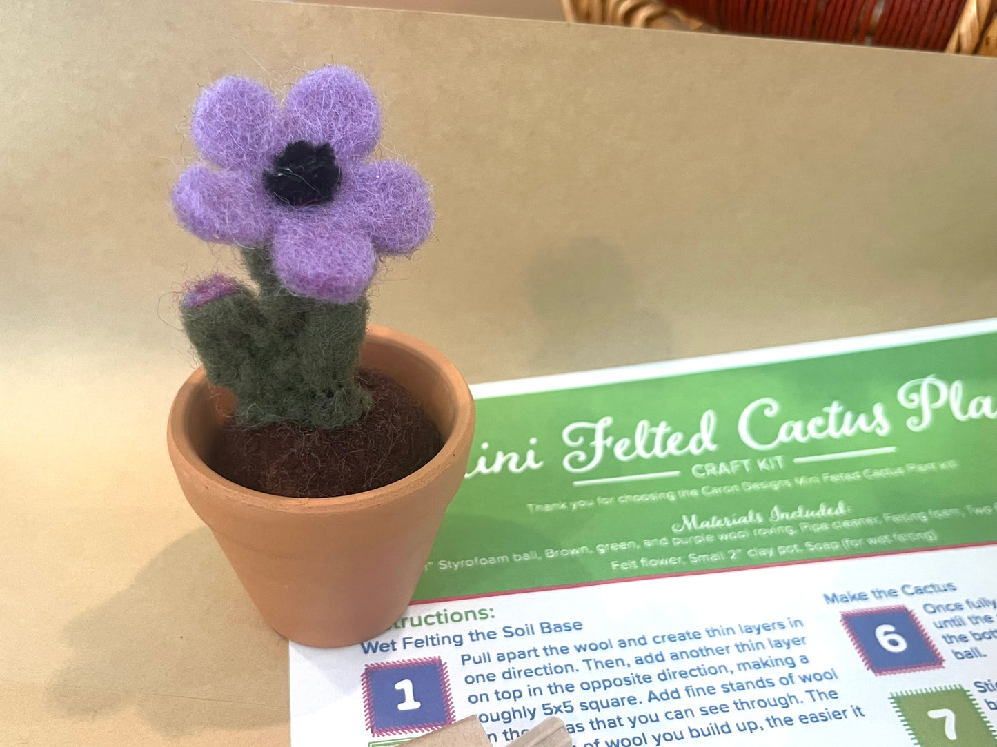 Mini Felted Cactus Plant Craft Kit – DIY Wool Succulent with Flower in Pot