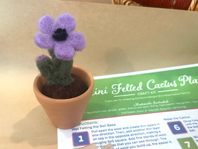 Mini Felted Cactus Plant Craft Kit – DIY Wool Succulent with Flower in Pot