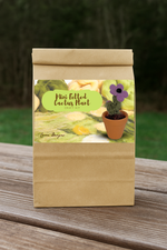 Mini Felted Cactus Plant Craft Kit – DIY Wool Succulent with Flower in Pot