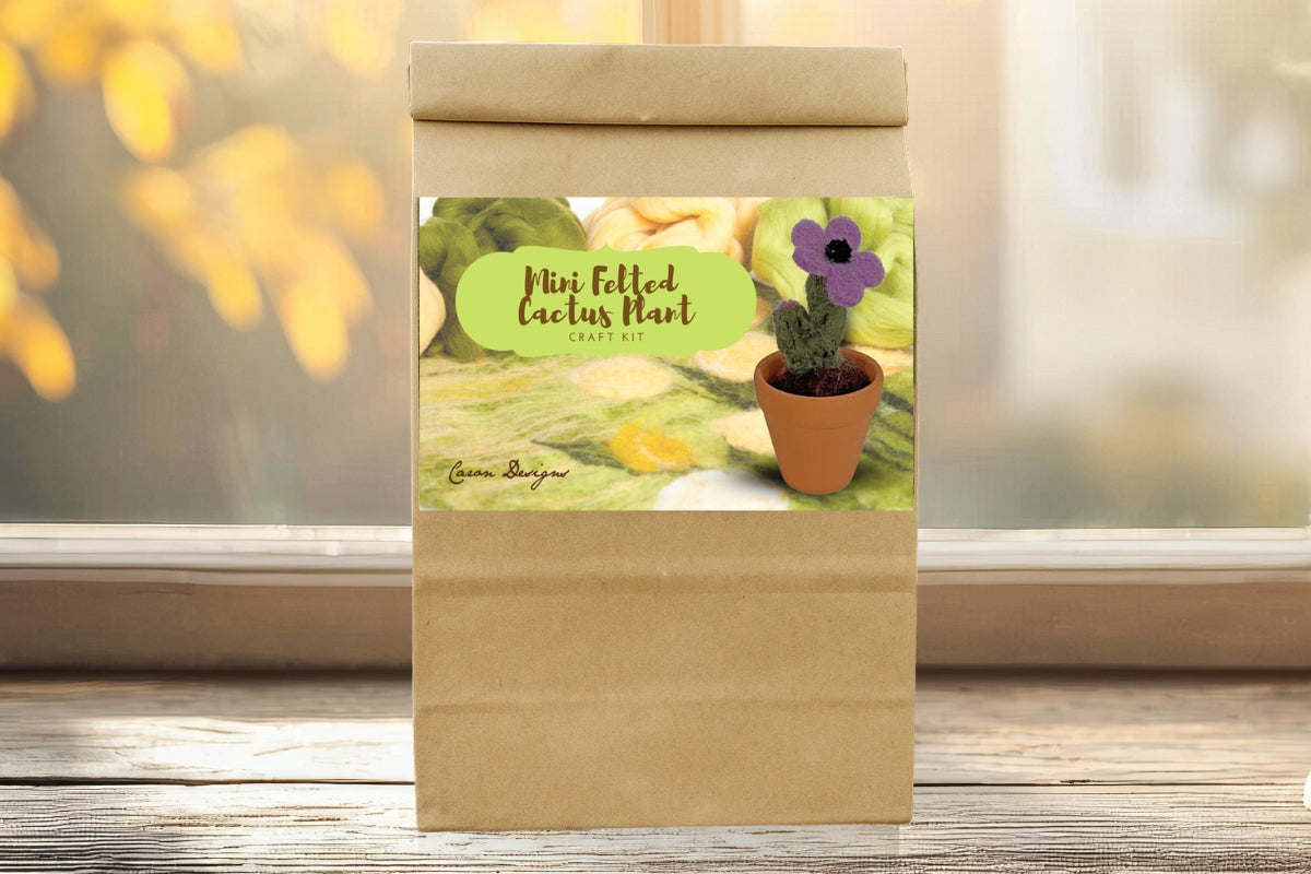Mini Felted Cactus Plant Craft Kit – DIY Wool Succulent with Flower in Pot