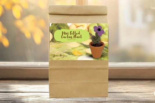 Mini Felted Cactus Plant Craft Kit – DIY Wool Succulent with Flower in Pot