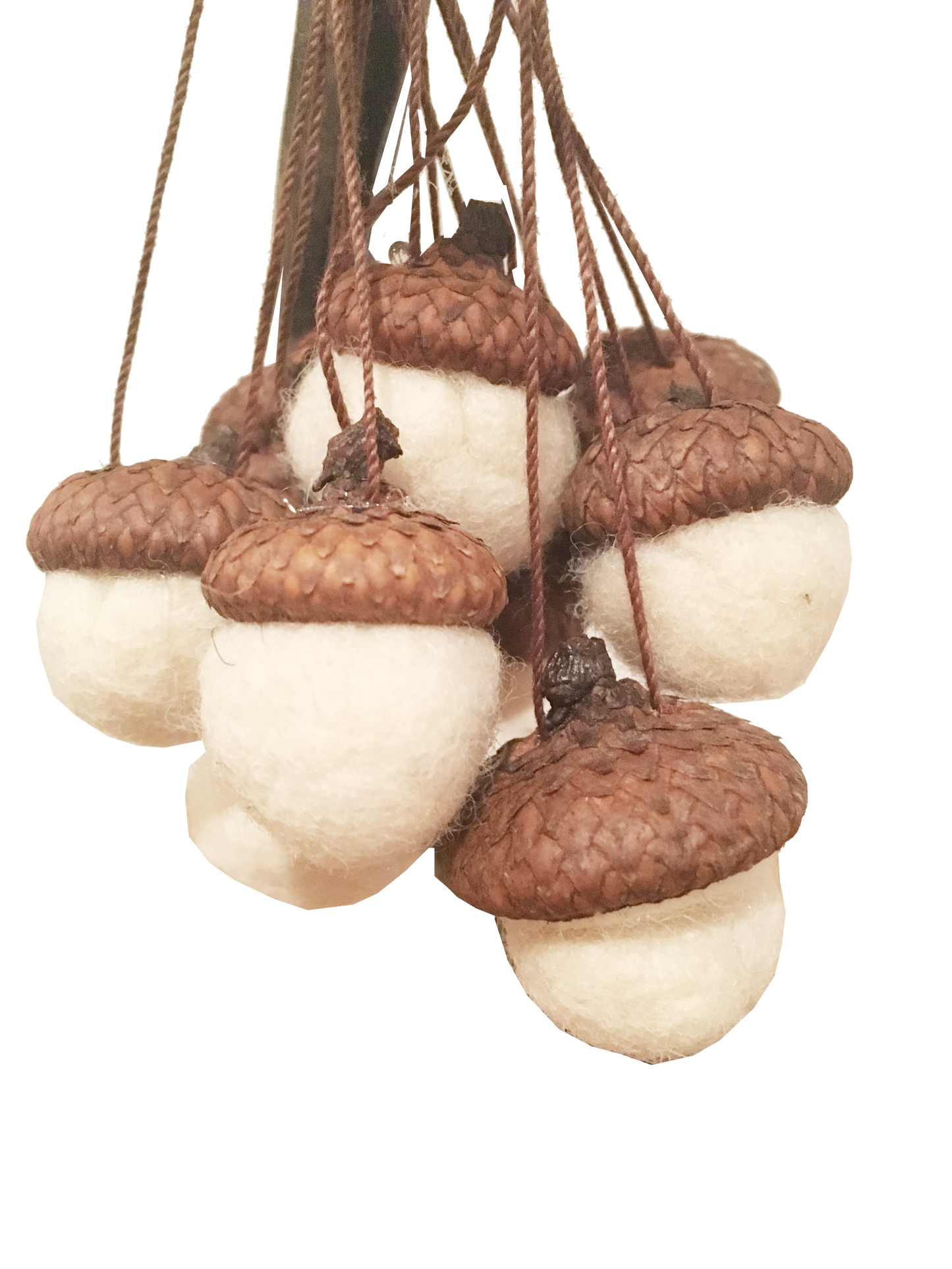 Wet Felting Acorns Craft Kit
