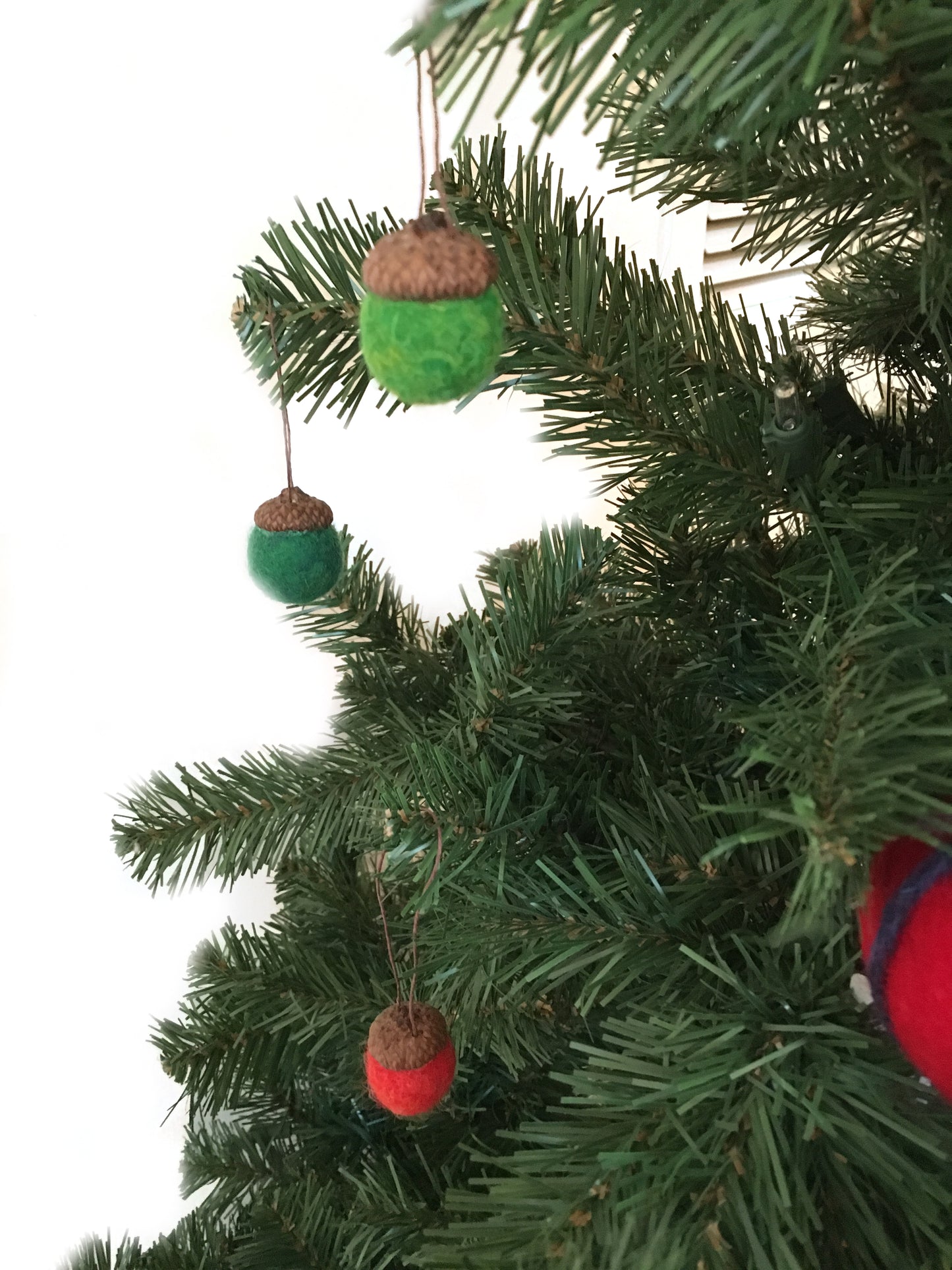 DIY Wet Felting Acorn Kit – Beginner Craft Kit with Assorted Color Wools