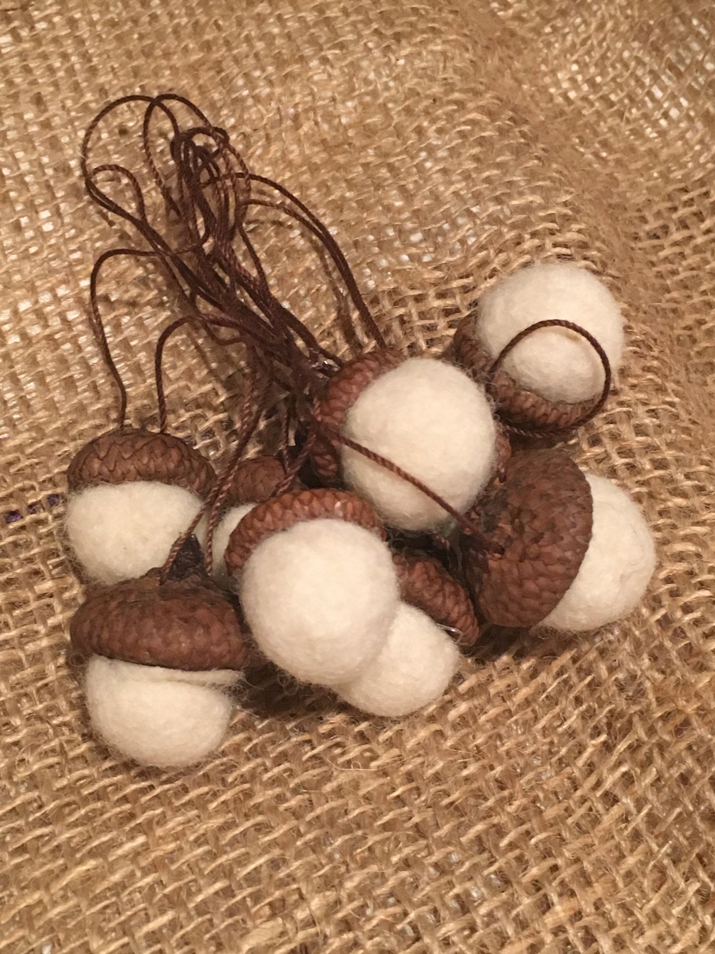 Wet Felting Acorns Craft Kit