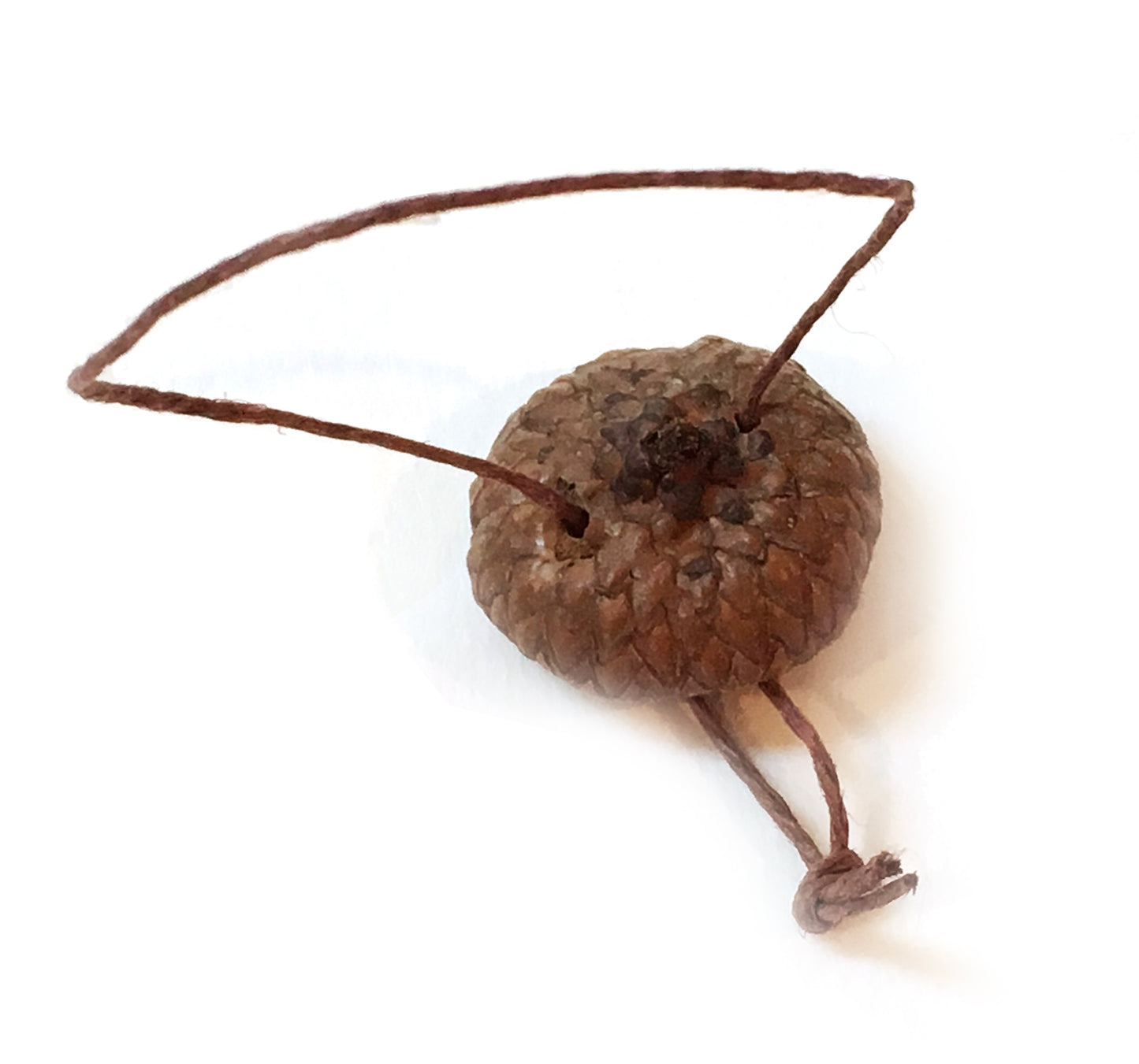 Wet Felting Acorns Craft Kit