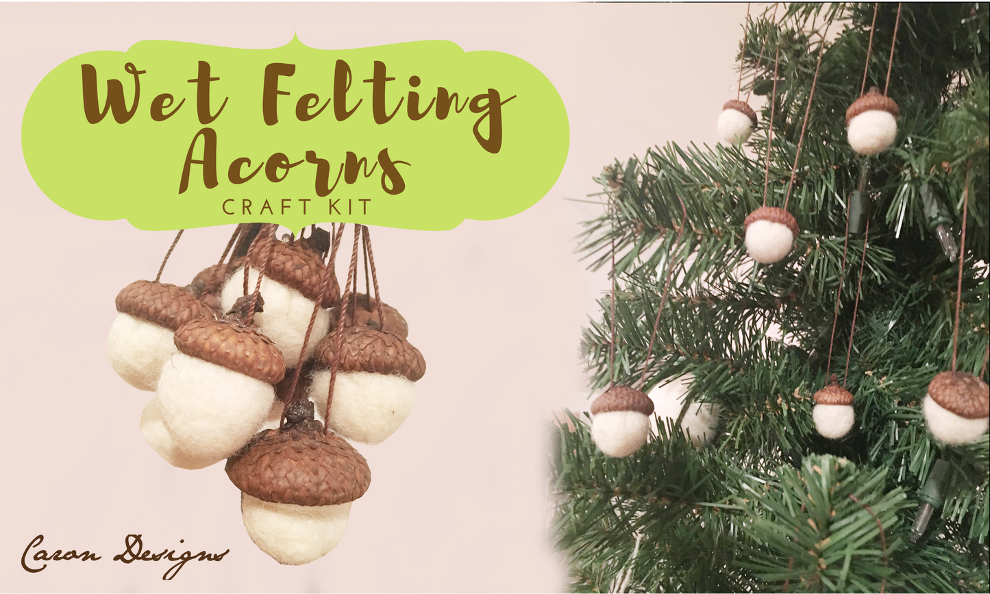 Wet Felting Acorns Craft Kit