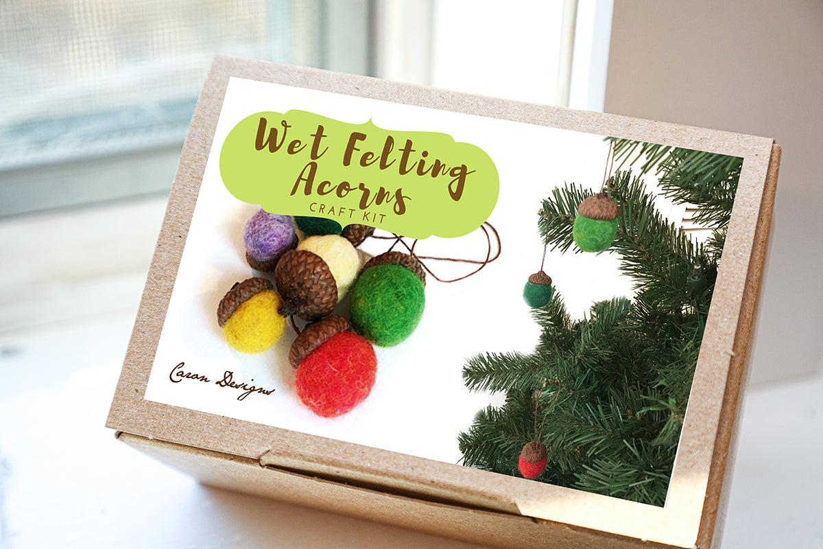 DIY Wet Felting Acorn Kit – Beginner Craft Kit with Assorted Color Wools