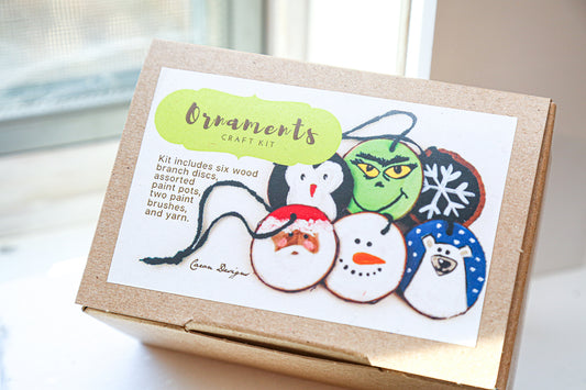 Holiday Ornament Painting Kit | DIY Christmas Craft Kit for Kids and Adults